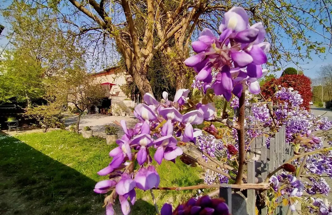 B&B La Bugia di Villa Tanzi-1